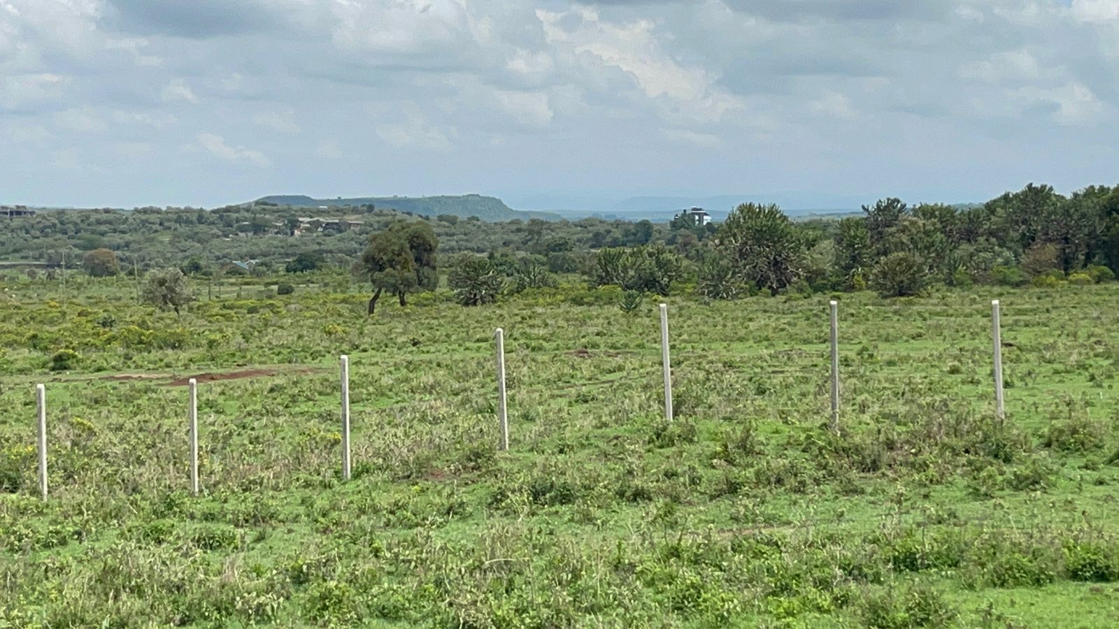 5 ACRE PRIME LAND