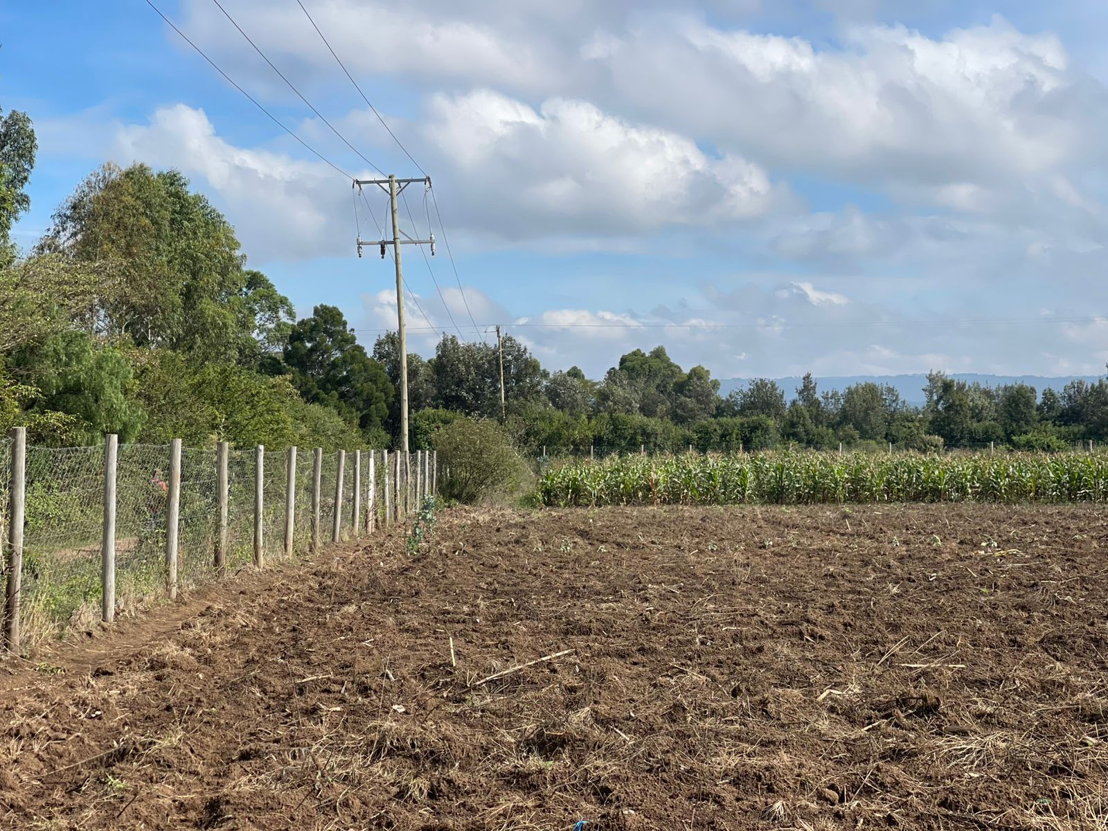 prime land for sale , next to keroche NAIVASHA
